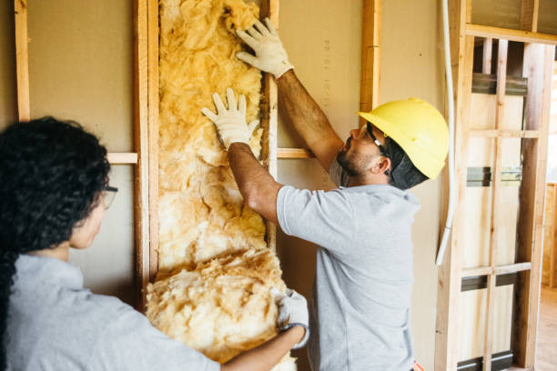 Best Insulation Air Sealing  in Kalama, WA